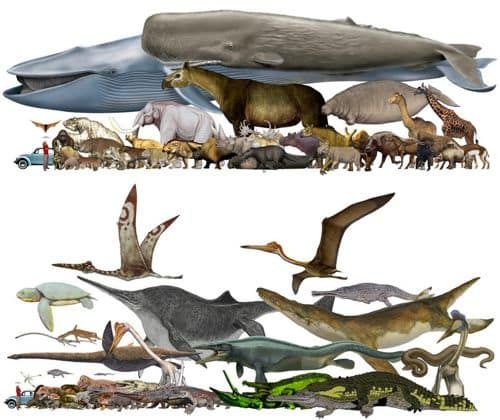 공룡의 크기 체감해보기