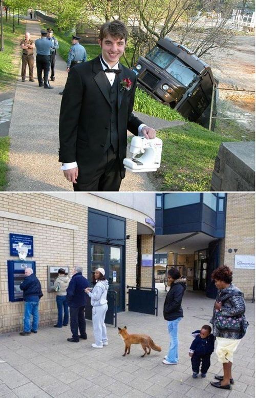 무슨 상황인지 알 수 없는 사진들