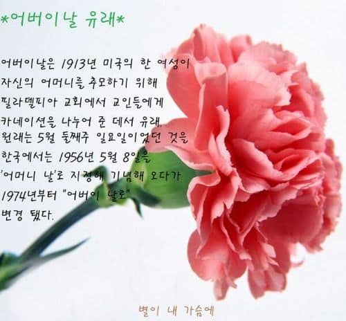 어버이날 카네이션의 유래.jpg