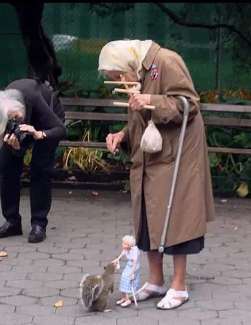 다람쥐에게 먹이주는 방법.jpg