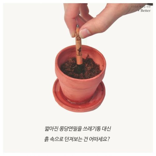 허브가 자라는 연필