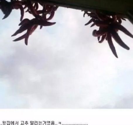 소름돋는 손가락.jpg