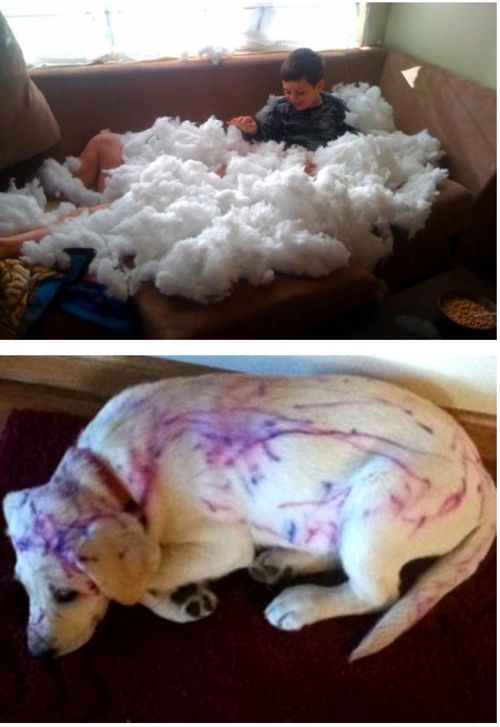 빨리 결혼해서 애낳고싶은 짤