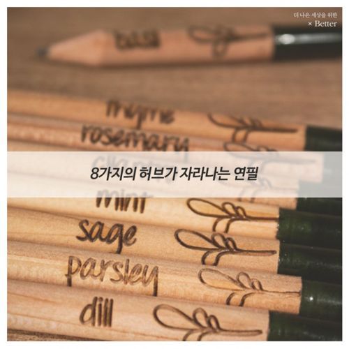 허브가 자라는 연필
