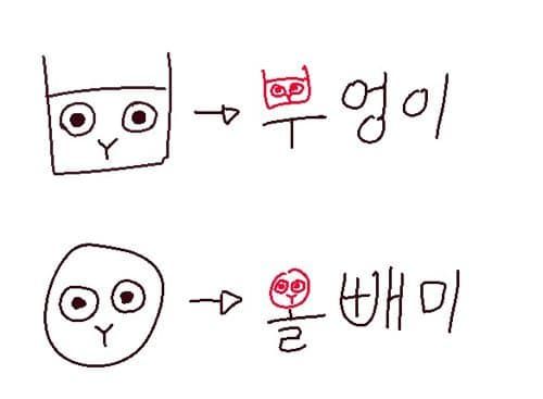 올빼미와 부엉이를 구별해봐욧