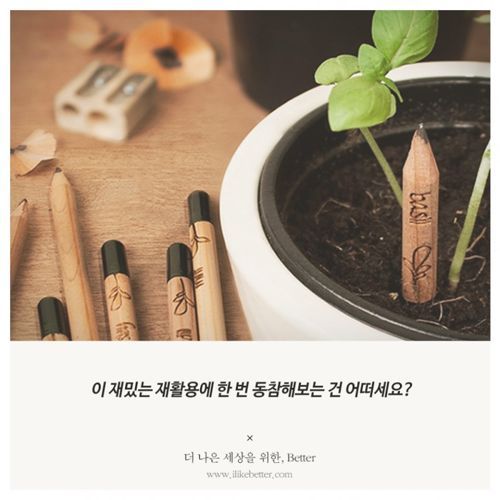 허브가 자라는 연필