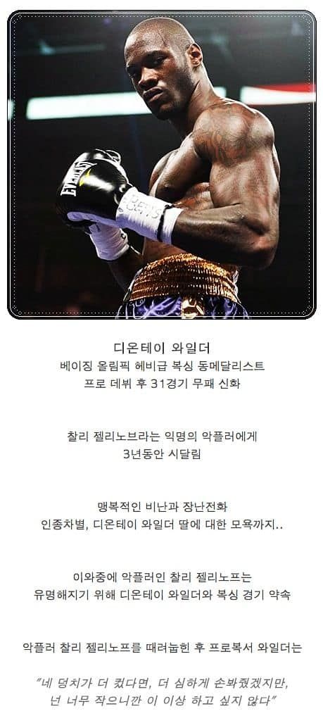 천조국 악플러.jpg