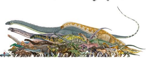 공룡의 크기 체감해보기