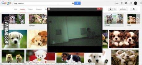 서양겁쟁이의 무서운영화보는법