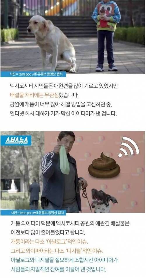 똥이 있어야 와이파이를 이용할 수 있다.jpg