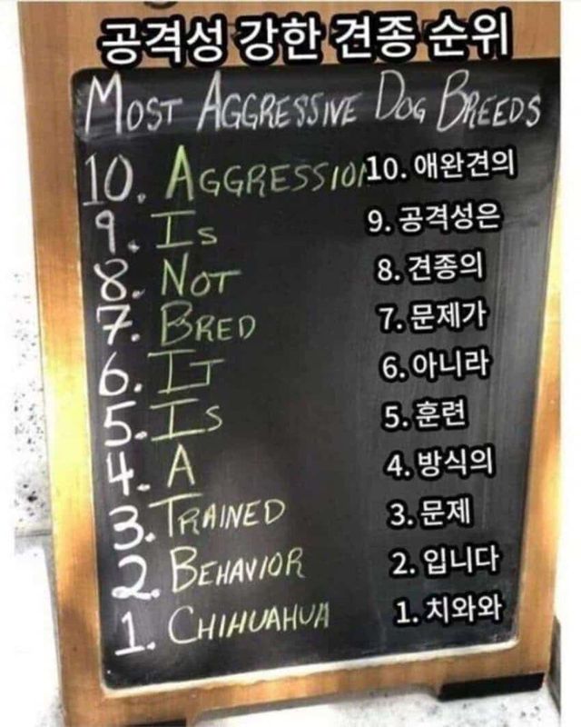 17143785742.jpg