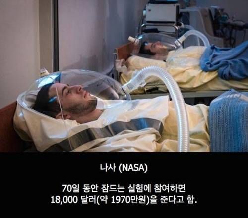 나사의 아르바이트.jpg