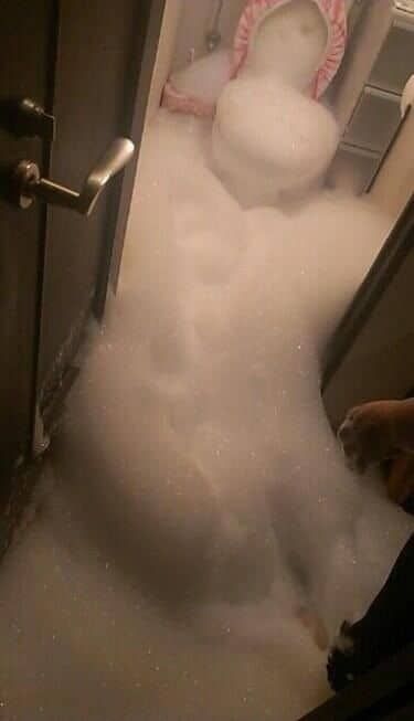 변기에 세제를 넣고 물을 내렸더니.jpg