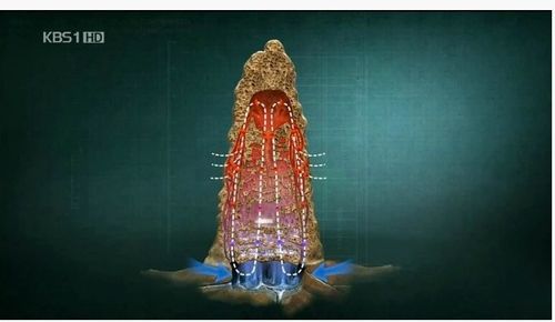 흰개미 집을 베껴서 만들었다는 빌딩