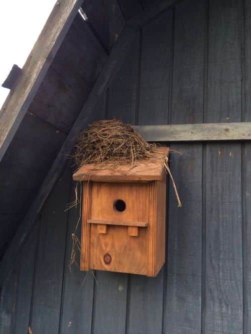 드...드리겠습니다 필요없어.jpg