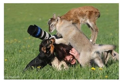 사연 알고 나면 감동적인 사진
