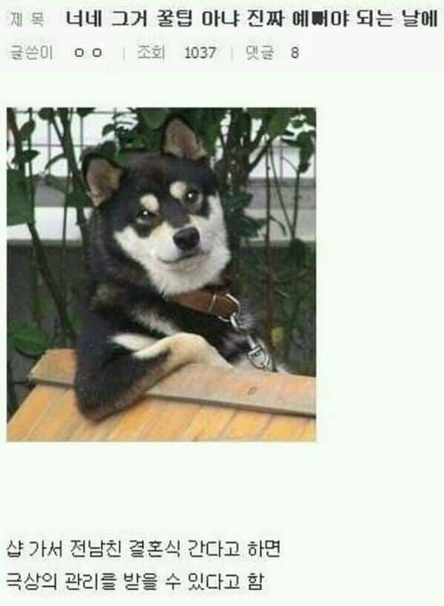 미용실 꿀팁.jpg