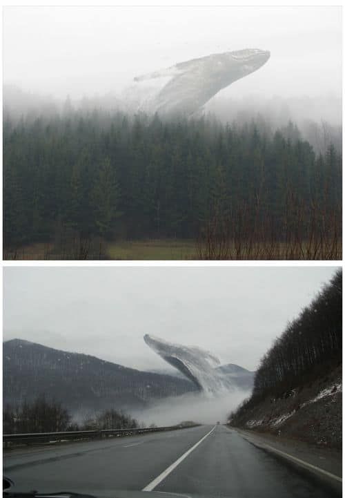 뉴질랜드의 흔한 자연풍경.jpg