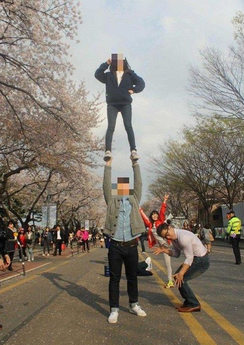 흔한 벚꽃놀이 인증샷