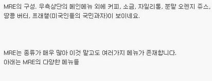 미국의 전투식량.jpg