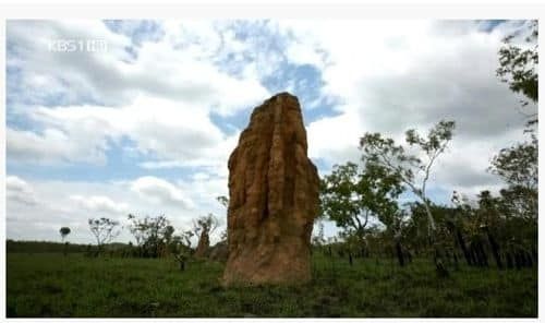 흰개미 집을 베껴서 만들었다는 빌딩