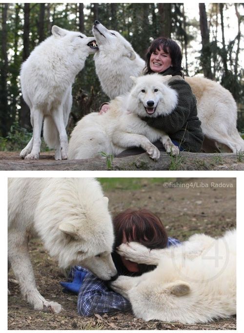 사연 알고 나면 감동적인 사진