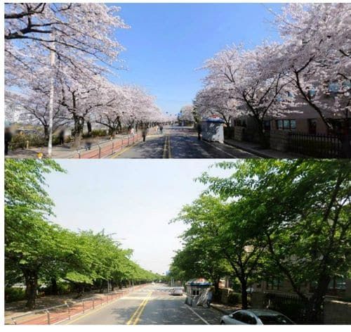 4월과 5월의 차이.jpg