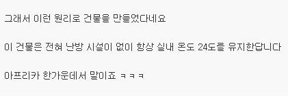 흰개미 집을 베껴서 만들었다는 빌딩