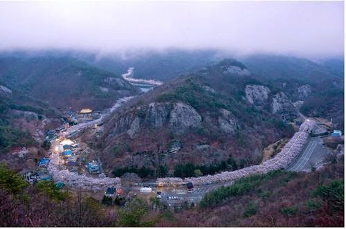 국내 최고의 벚꽃드라이브코스
