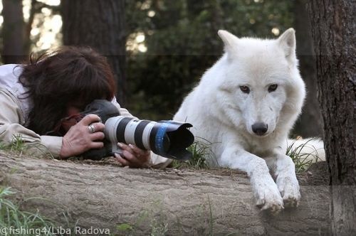 사연 알고 나면 감동적인 사진