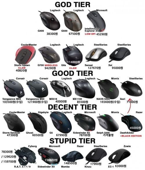 마우스 서열.jpg