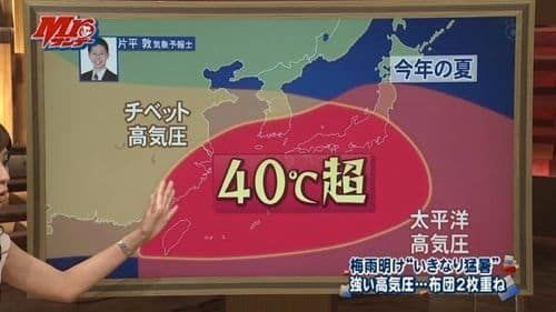 올 여름 예상 온도.jpg