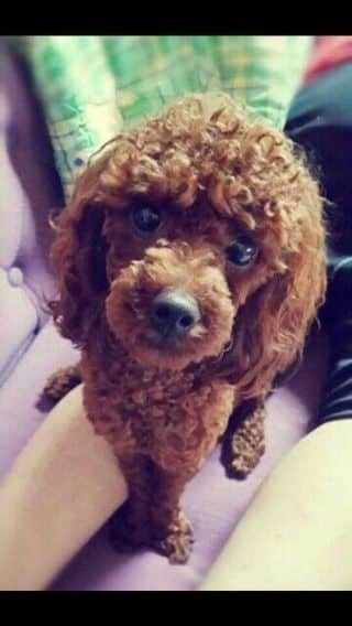 지켜주지 못해서 미안하다