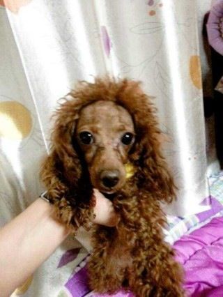 지켜주지 못해서 미안하다