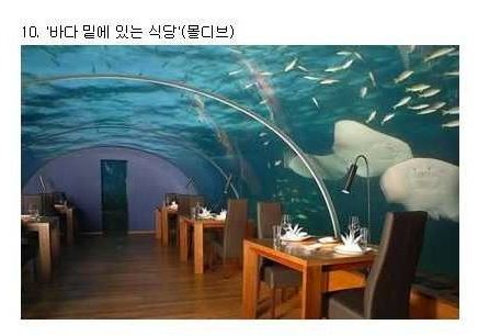 세계의 엽기적인 식당들 1~10위