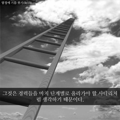 직선형 계획의 오류.jpg
