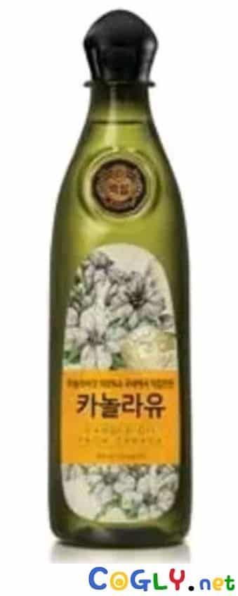 차 문 세게닫으면 안되는 이유