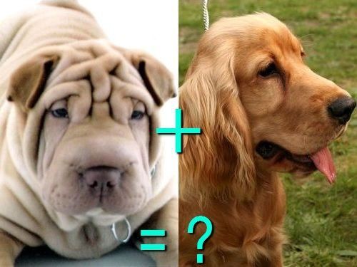 믹스의 안좋은 예.jpg