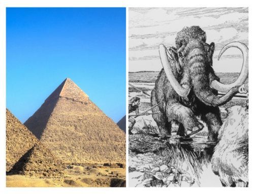 신기한 역사적 사실들.jpg