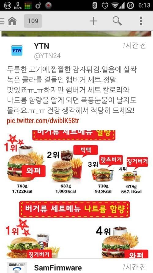 버거류 나트륨.jpg