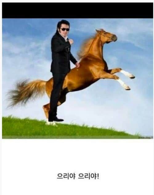 으리으리 완전판.jpg