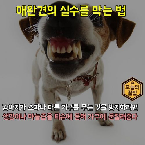 자취생을 위한 생활 팁