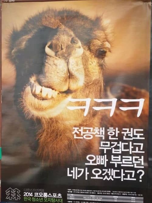 도발 광고.jpg