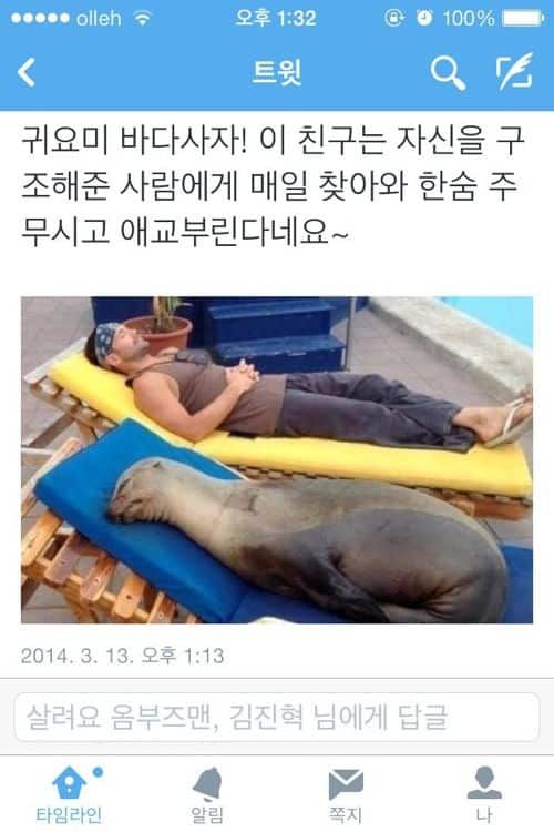 귀요미 바다사자.jpg