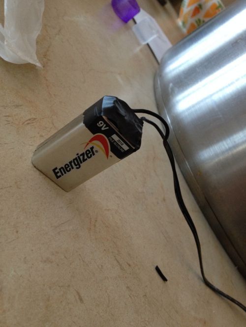 공대생의 생활의 지혜