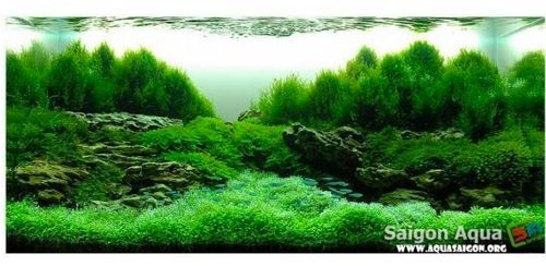 뒷동산같은 어항.jpg