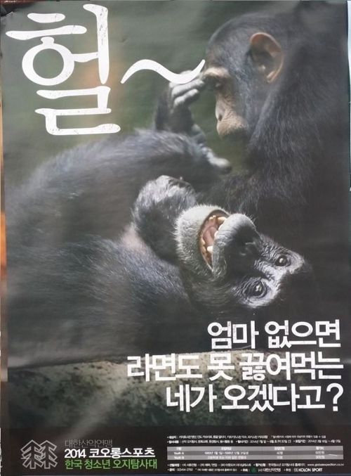 도발 광고.jpg