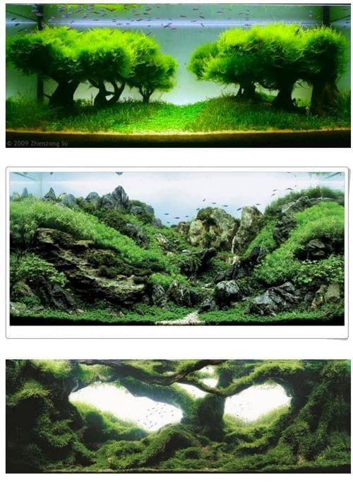 뒷동산같은 어항.jpg