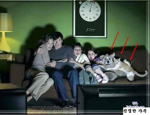 가족 공포영화 감상