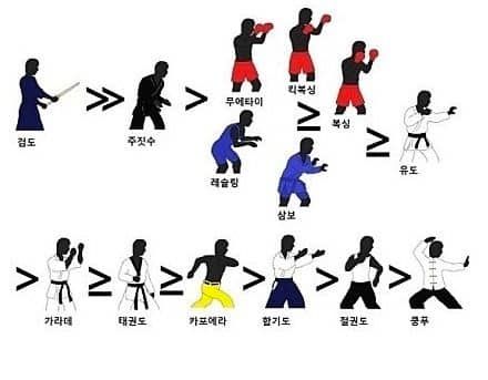 세계 무술 순위.jpg 